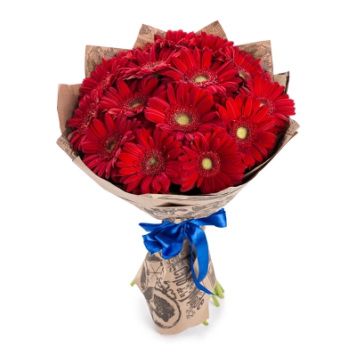 Яркий букет из 15 красных гербер – воплощение страсти и жизнерадостности Арзамас Нижегородская область