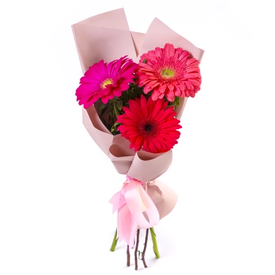 Яркий букет из 3 разноцветных гербер – маленькое чудо в ваших руках Арзамас Нижегородская область