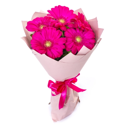 Букет из 5 малиновых гербер – сочный акцент вашего подарка Арзамас Нижегородская область