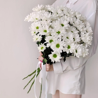 Букет «Ромашка» – 9 белоснежных хризантем в деревенском стиле Арзамас Нижегородская область