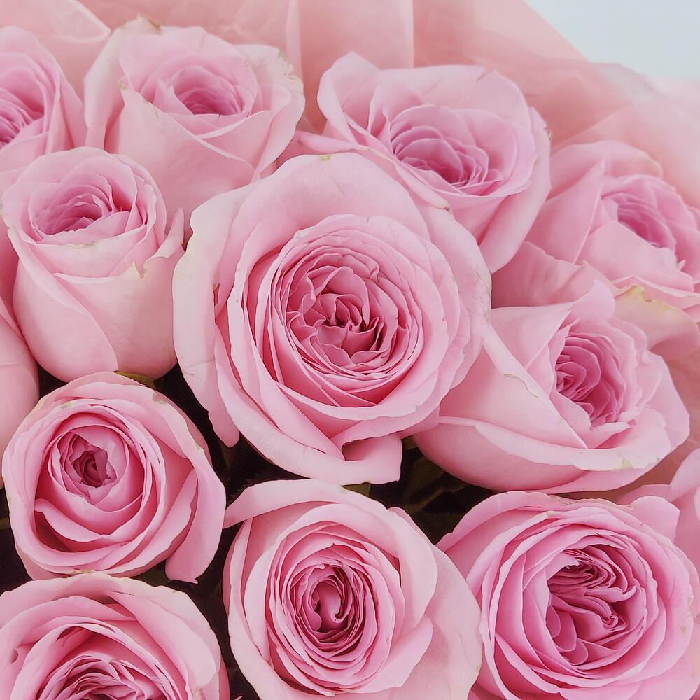 Букет из нежно-розовых роз – элегантность в каждом лепестке Арзамас Нижегородская область