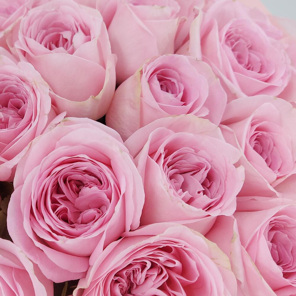 Букет из нежно-розовых роз – элегантность в каждом лепестке Арзамас Нижегородская область