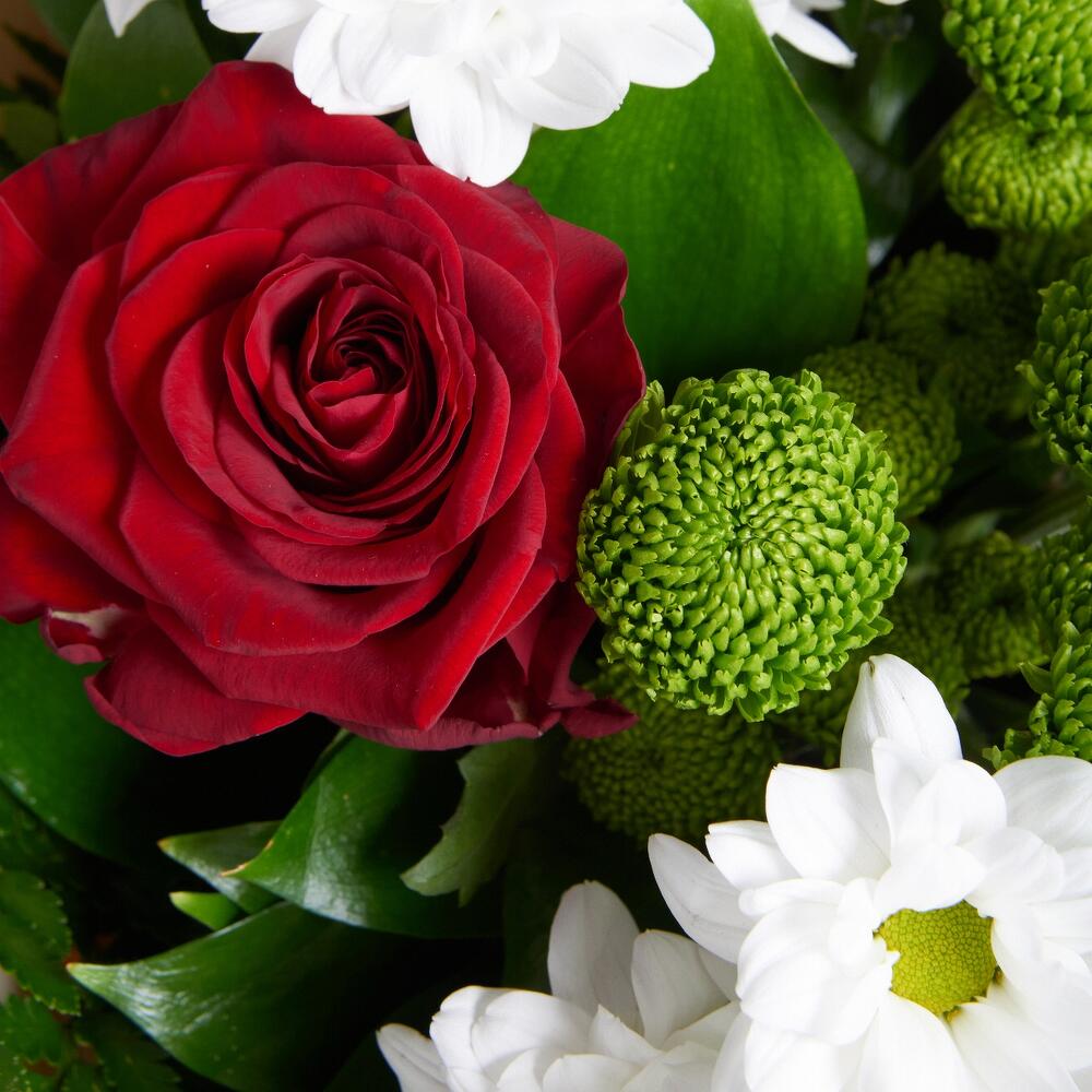 Букет «Настроение» – гармония красных эквадорских роз и нежных хризантем Арзамас Нижегородская область
