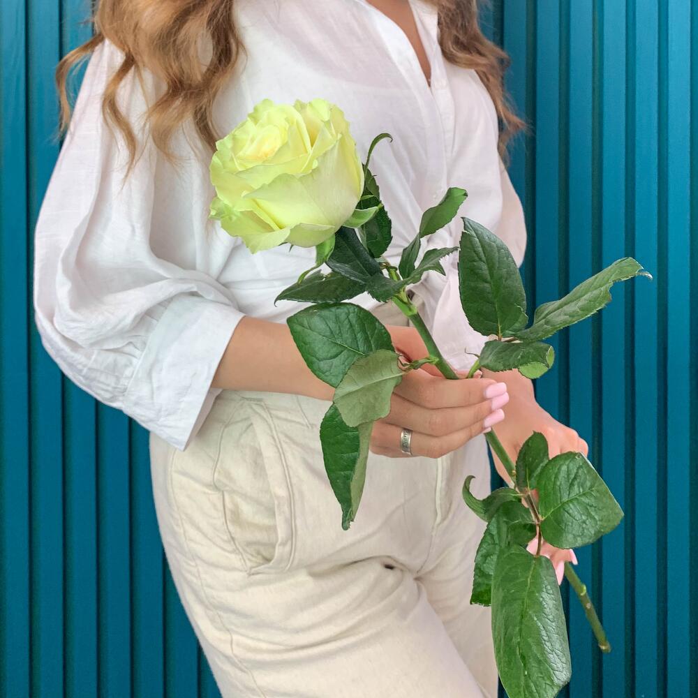 Комплимент из белой эквадорской розы – элегантность в каждом лепестке Арзамас Нижегородская область