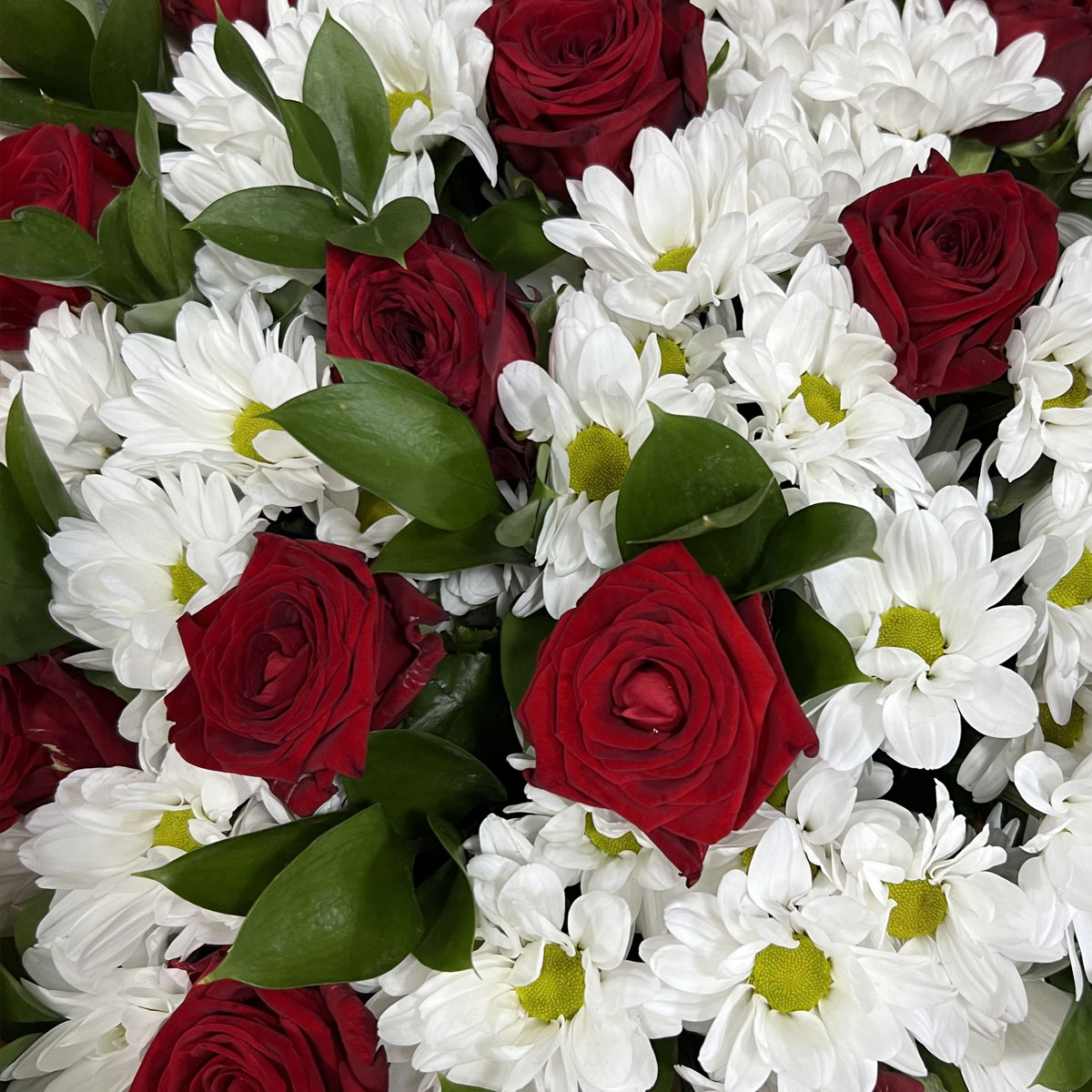 Букет «Романтика» — гармония красных роз и белоснежных хризантем Арзамас Нижегородская область